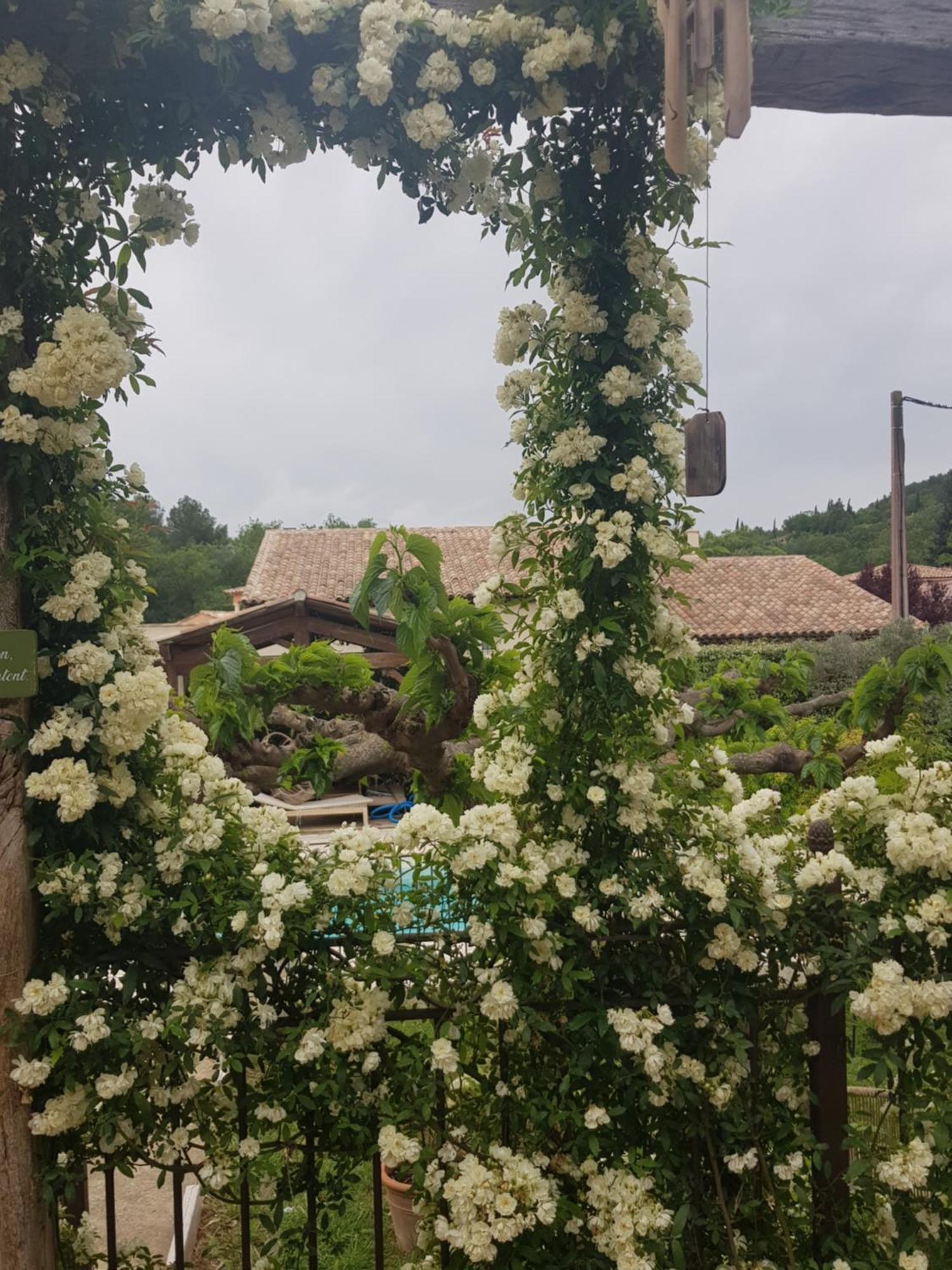 Magnifique Villa De Charme Avec Piscine Draguignan Exterior foto